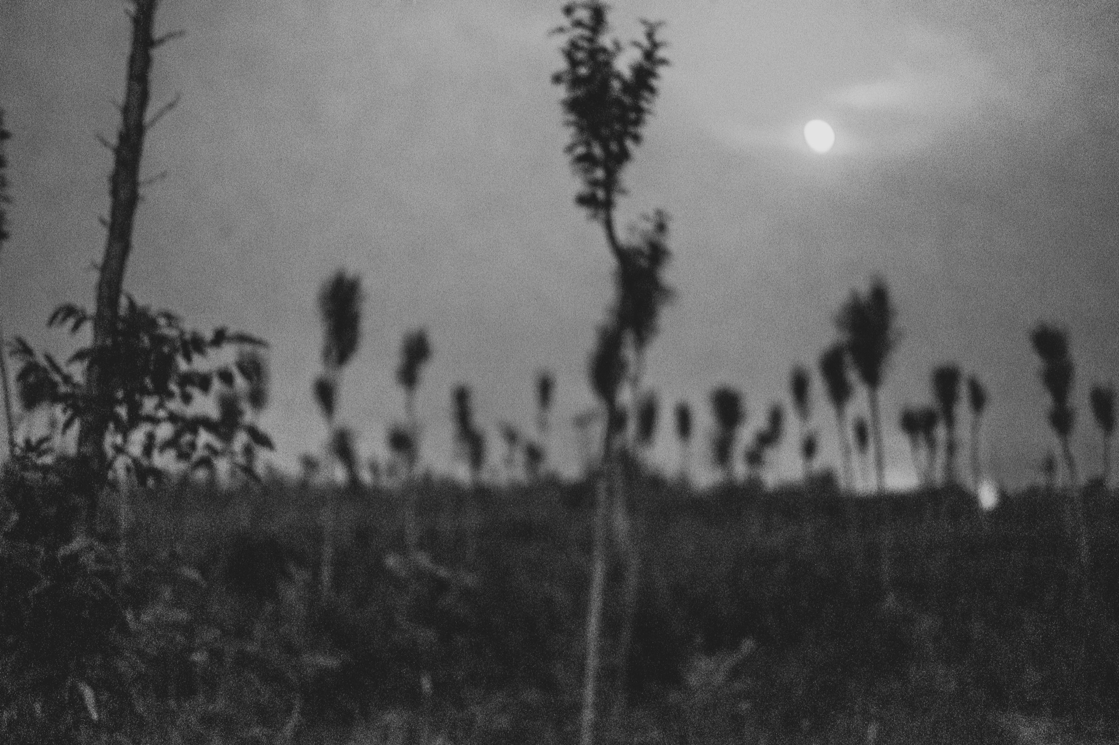 Abstraction, Blur and Experiment