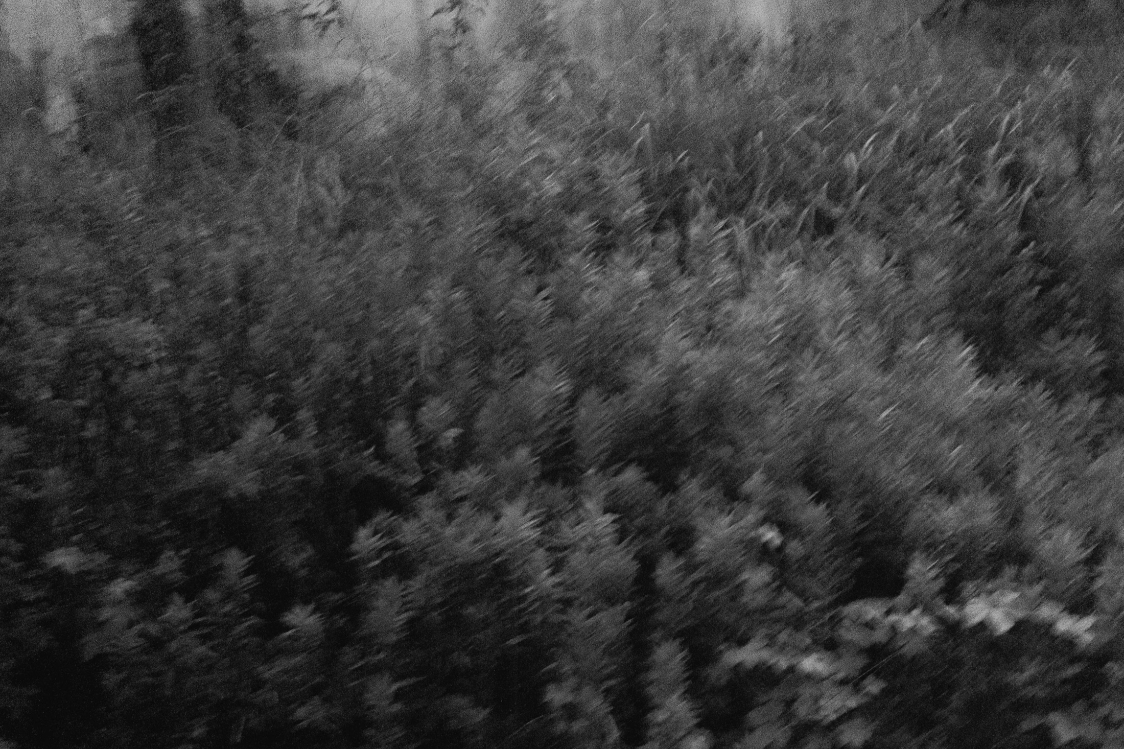 Abstraction, Blur and Experiment