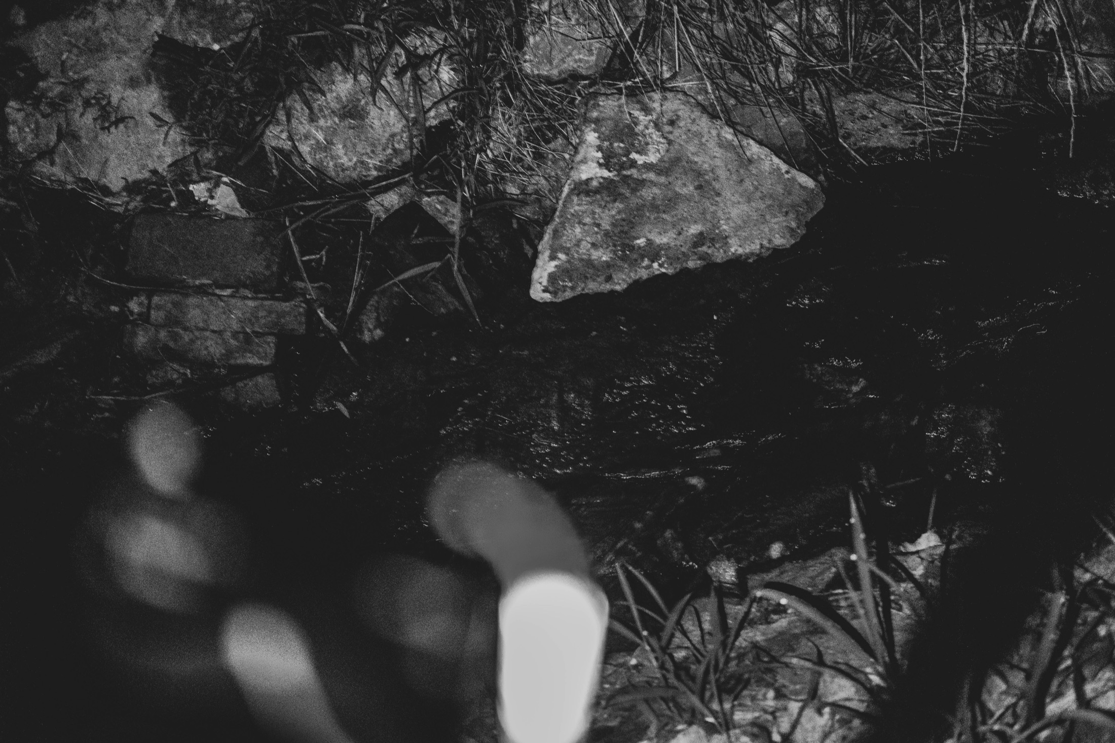 Abstraction, Blur and Experiment