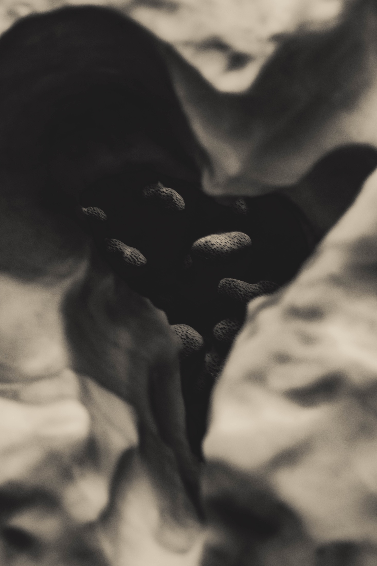 Abstraction, Blur and Experiment