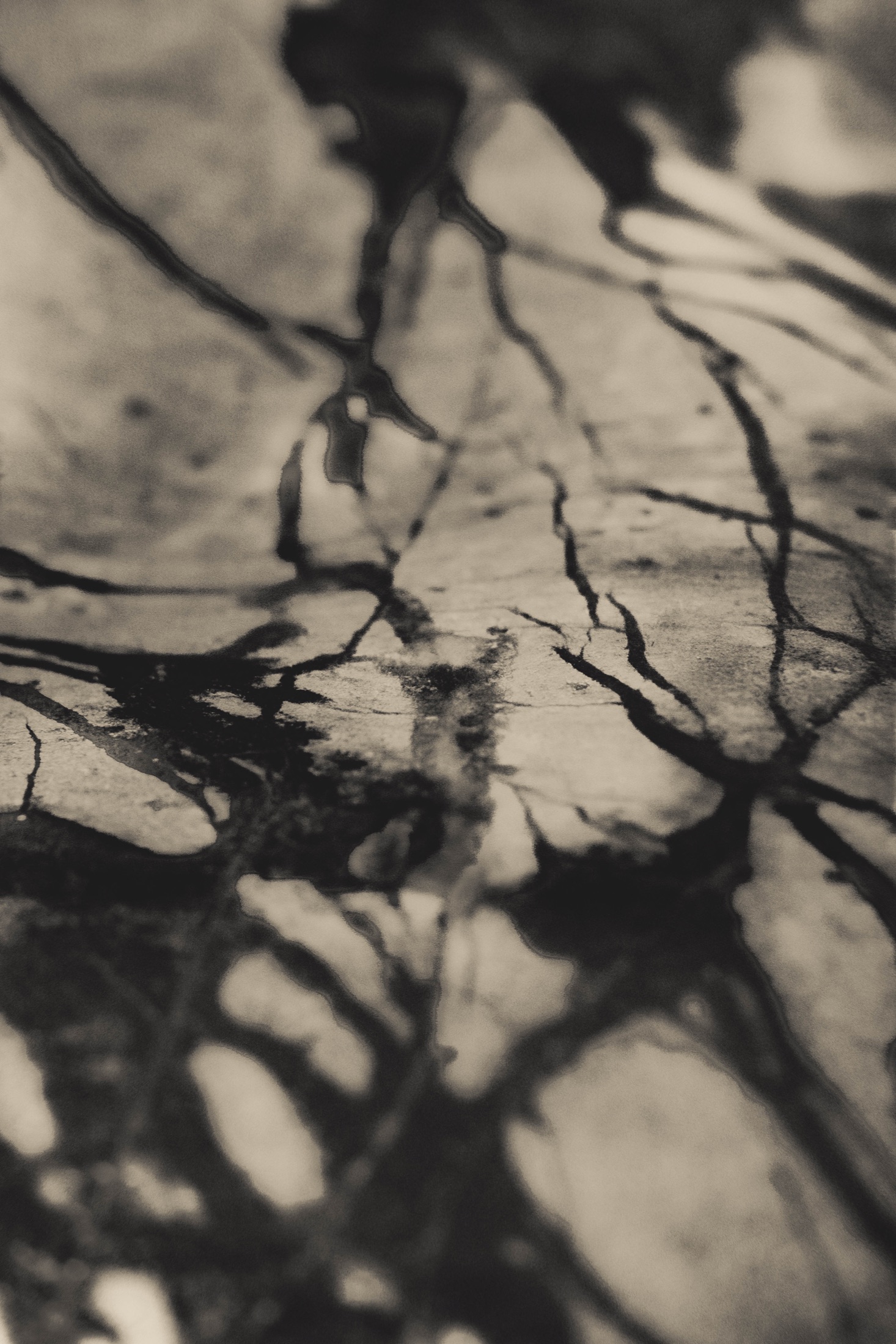 Abstraction, Blur and Experiment