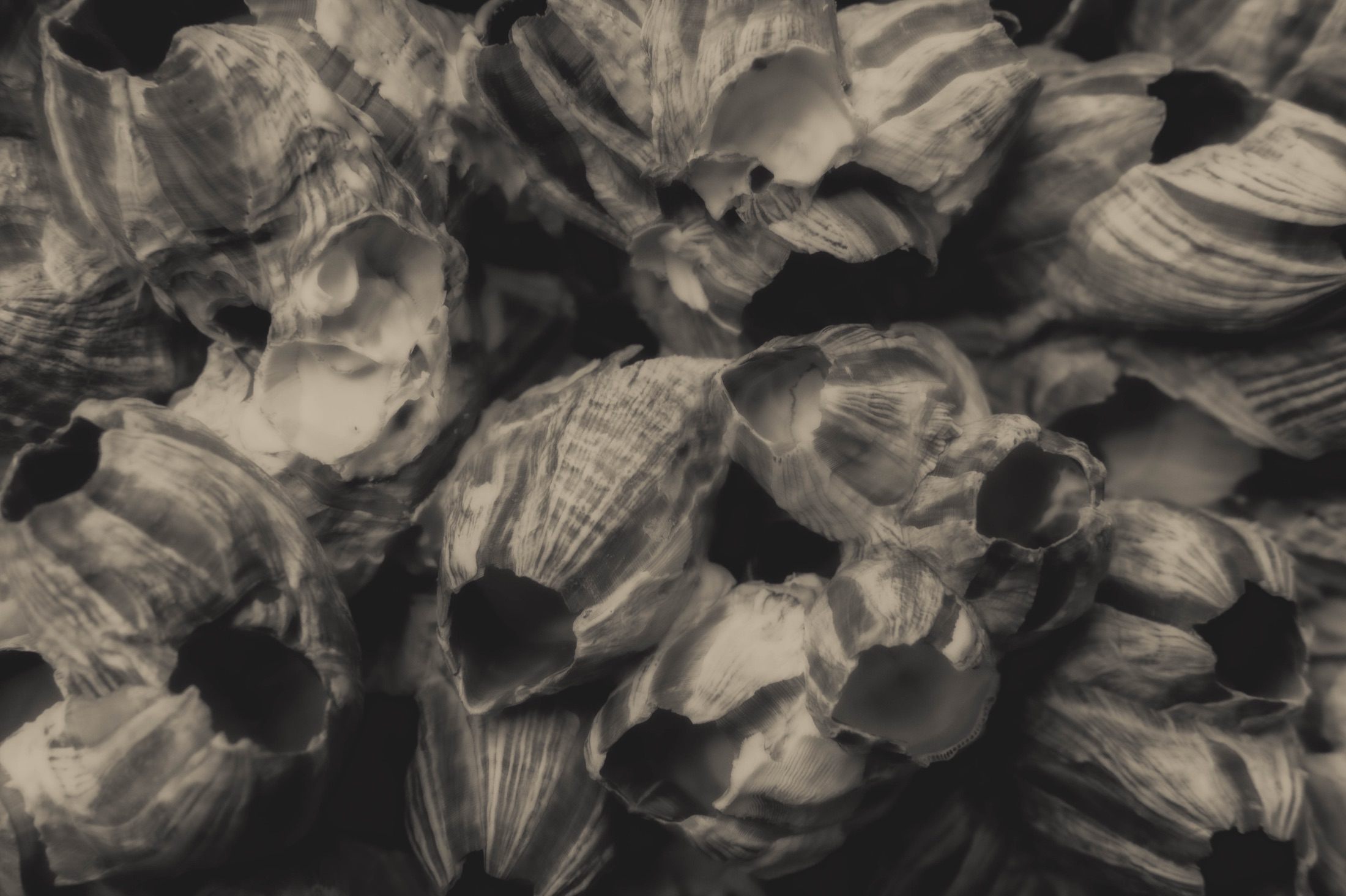 Abstraction, Blur and Experiment
