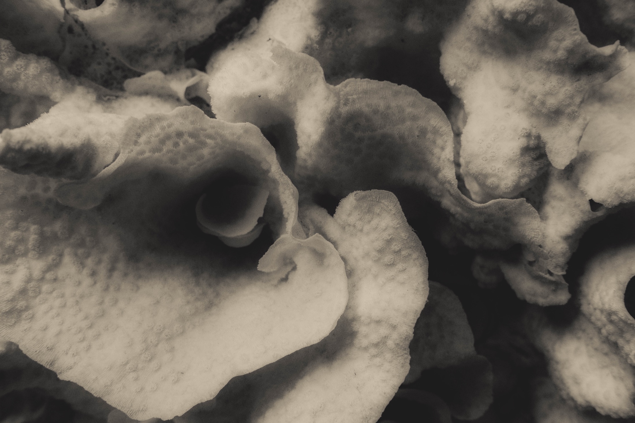 Abstraction, Blur and Experiment
