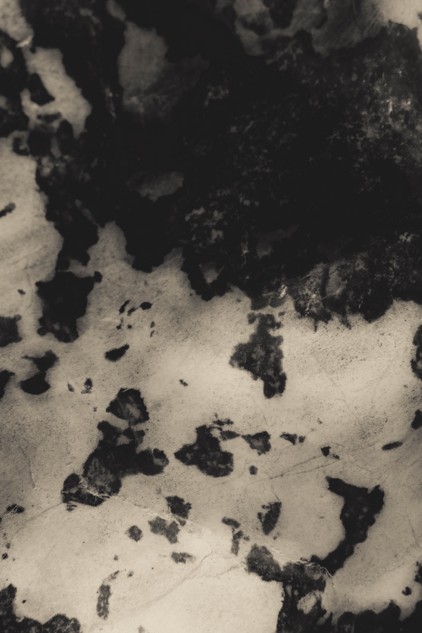 Abstraction, Blur and Experiment