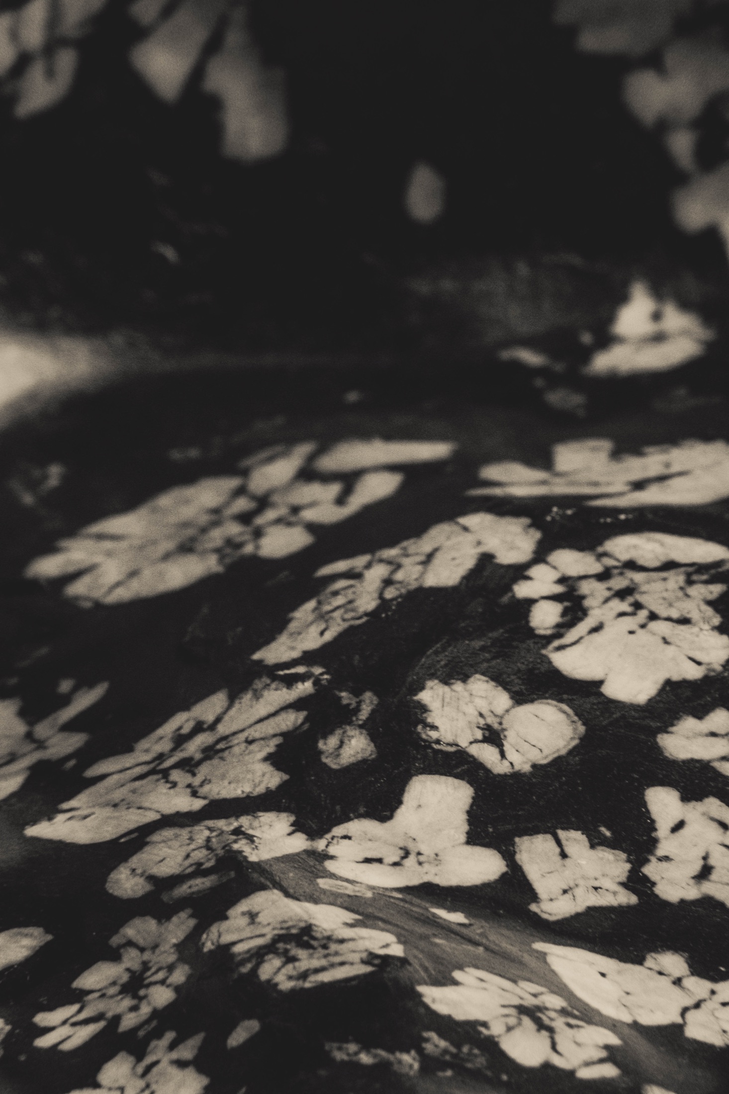 Abstraction, Blur and Experiment