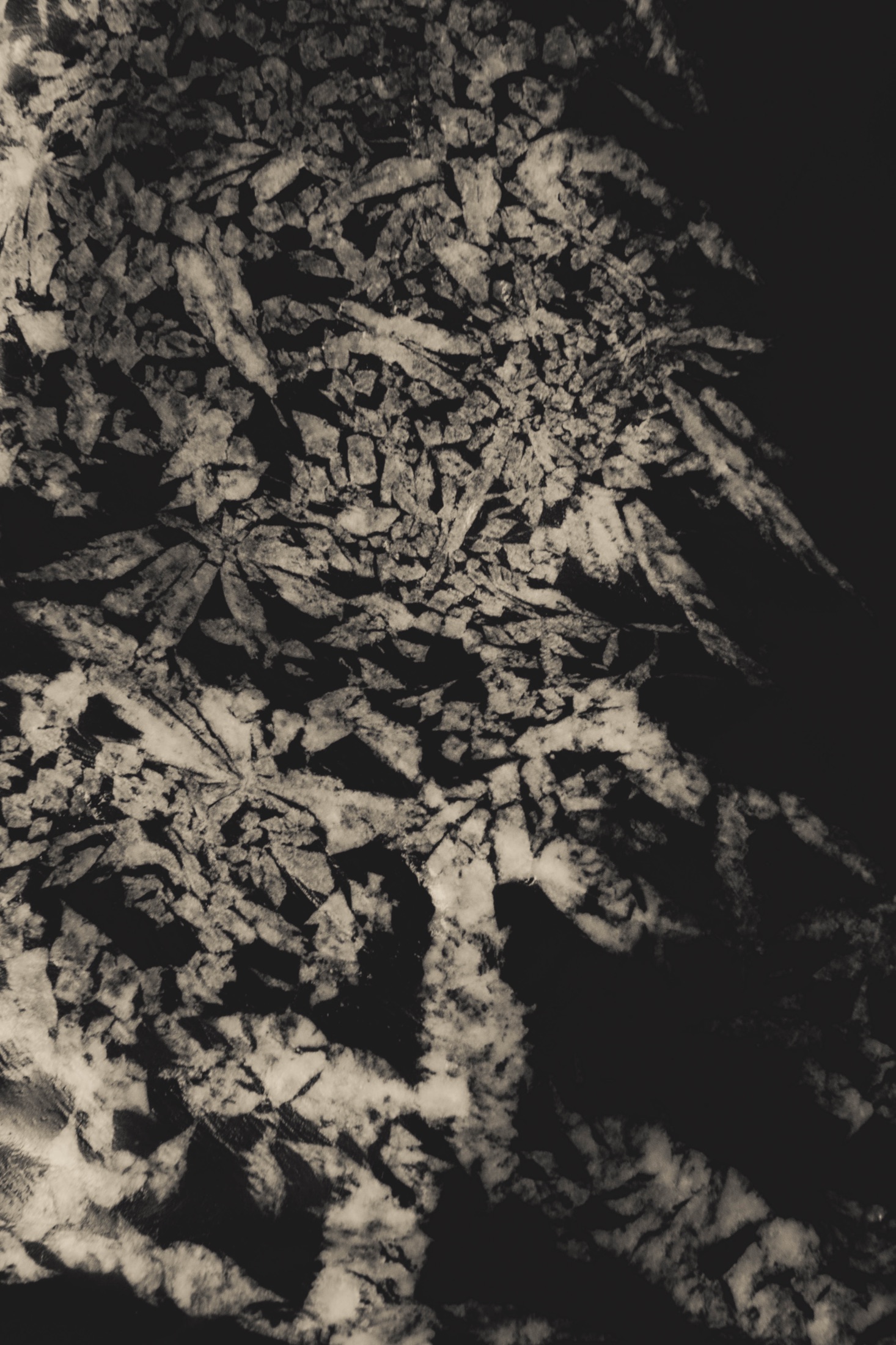 Abstraction, Blur and Experiment