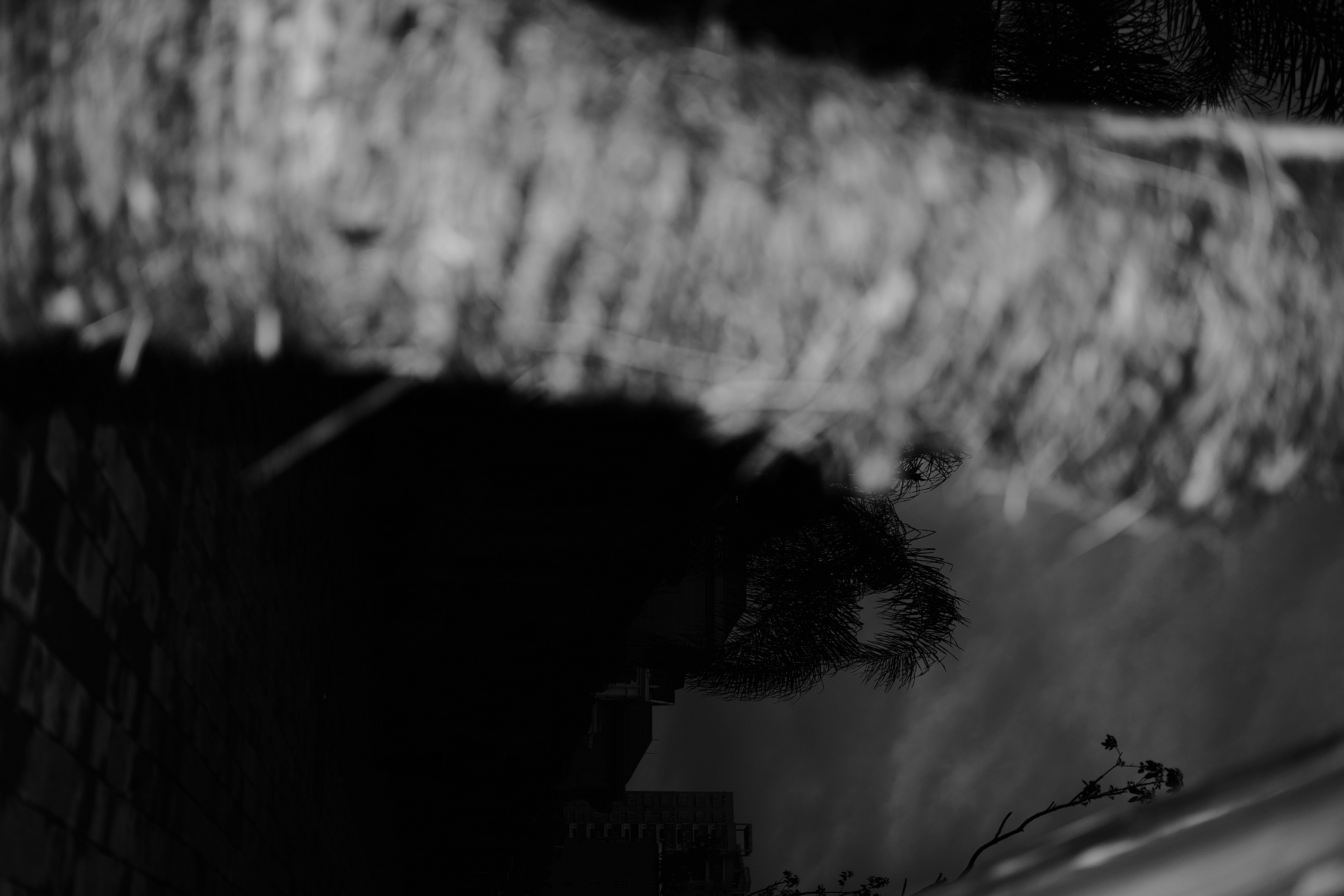 Abstraction, Blur and Experiment