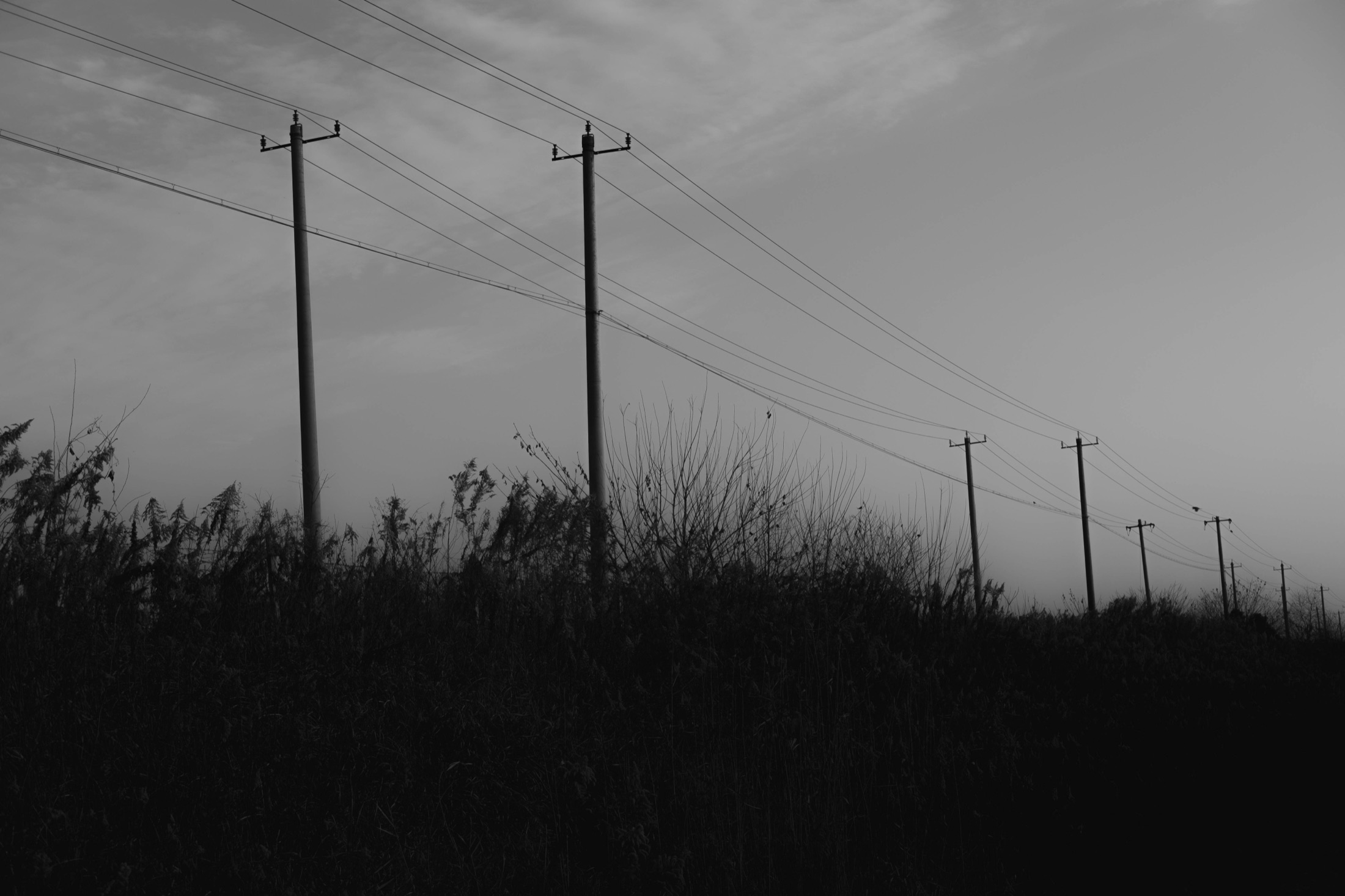 Industry and Infrastructure