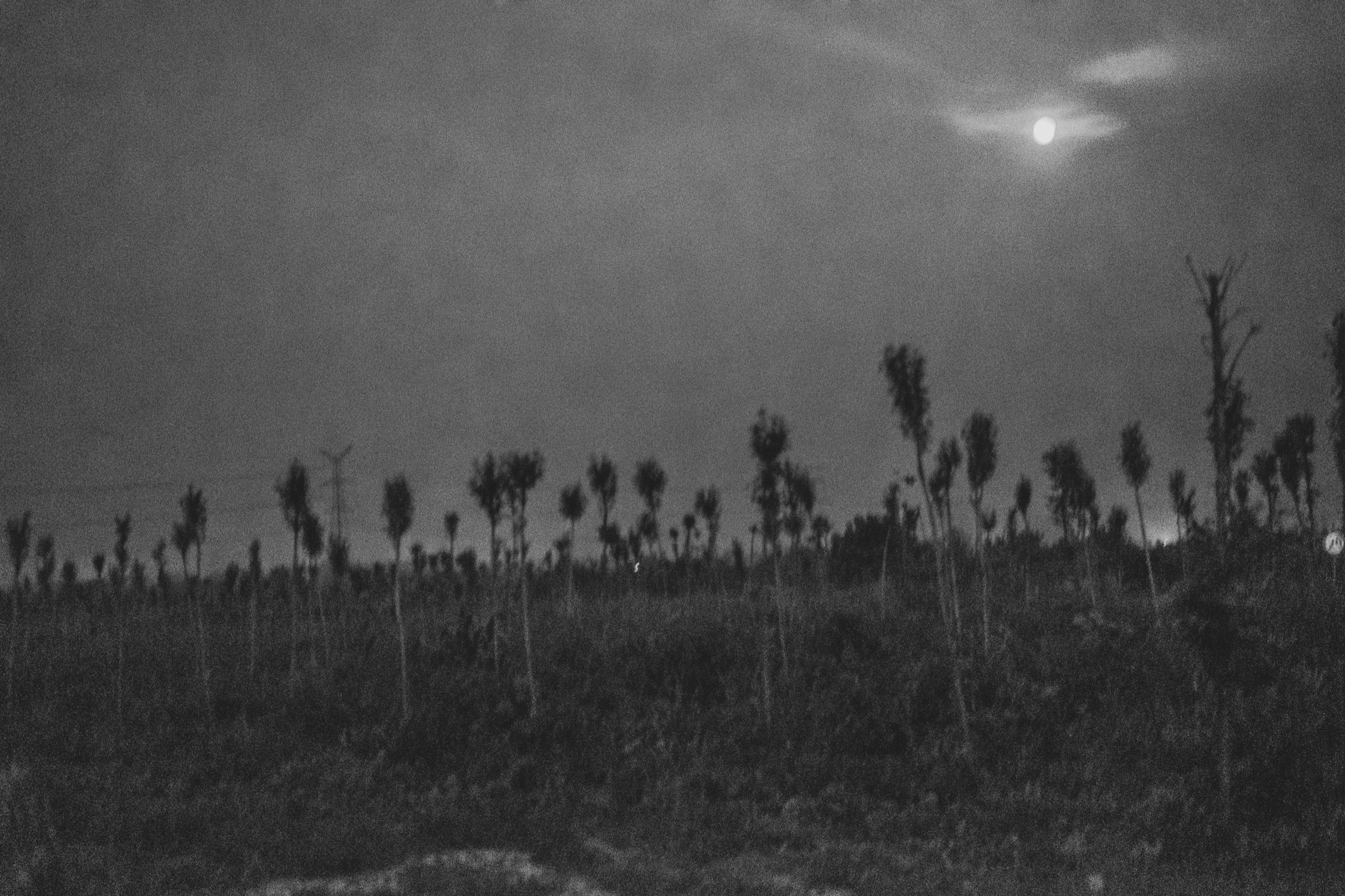 Night Walks and Artificial Light