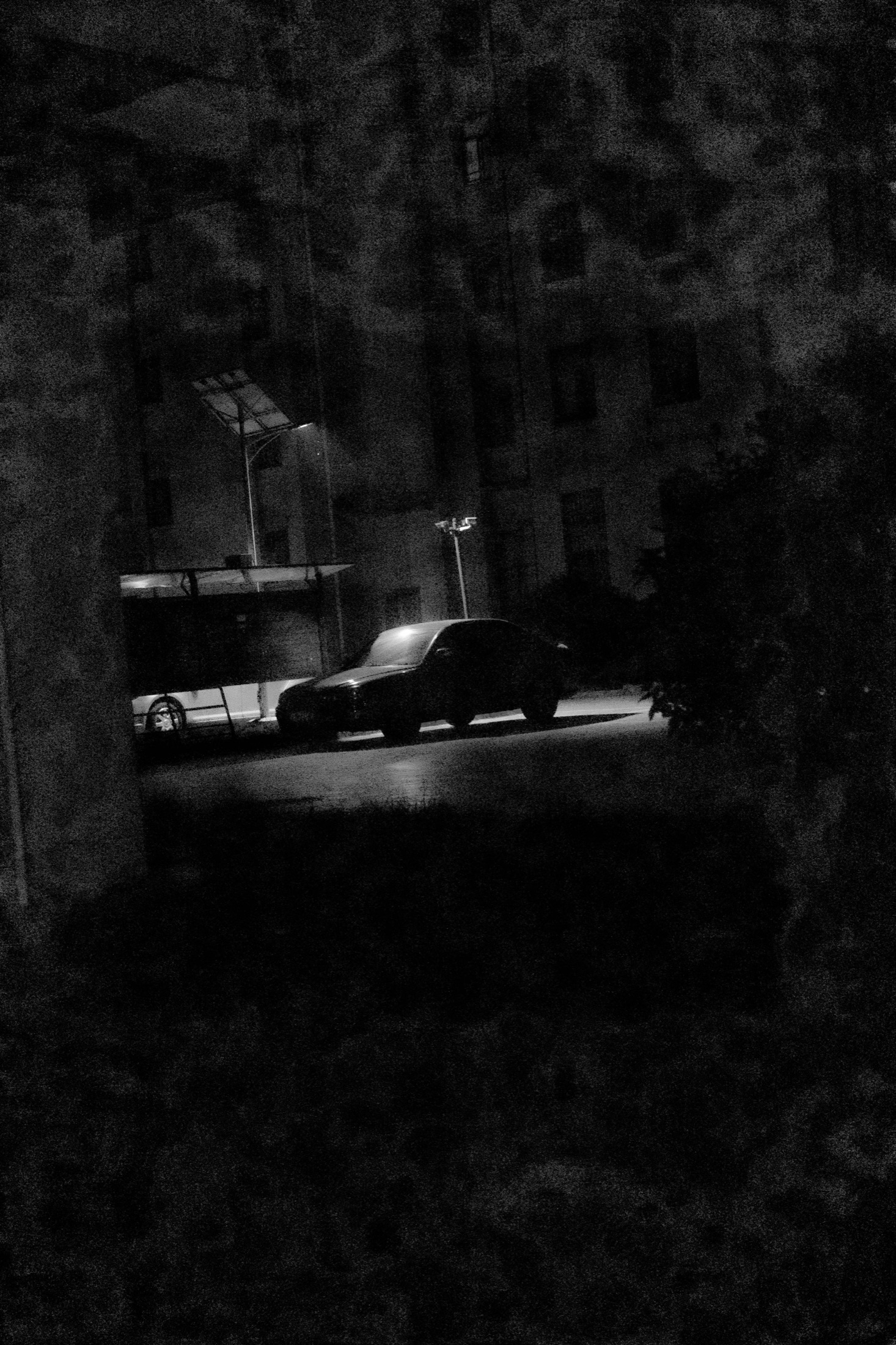 Night Walks and Artificial Light