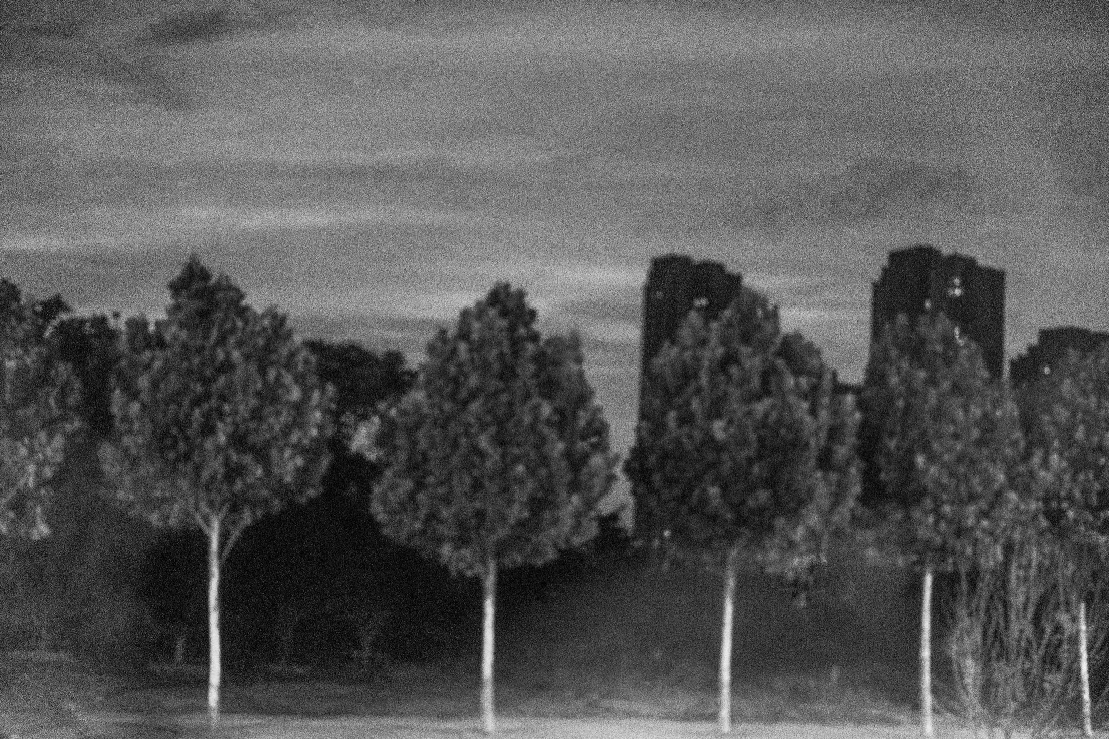 Night Walks and Artificial Light