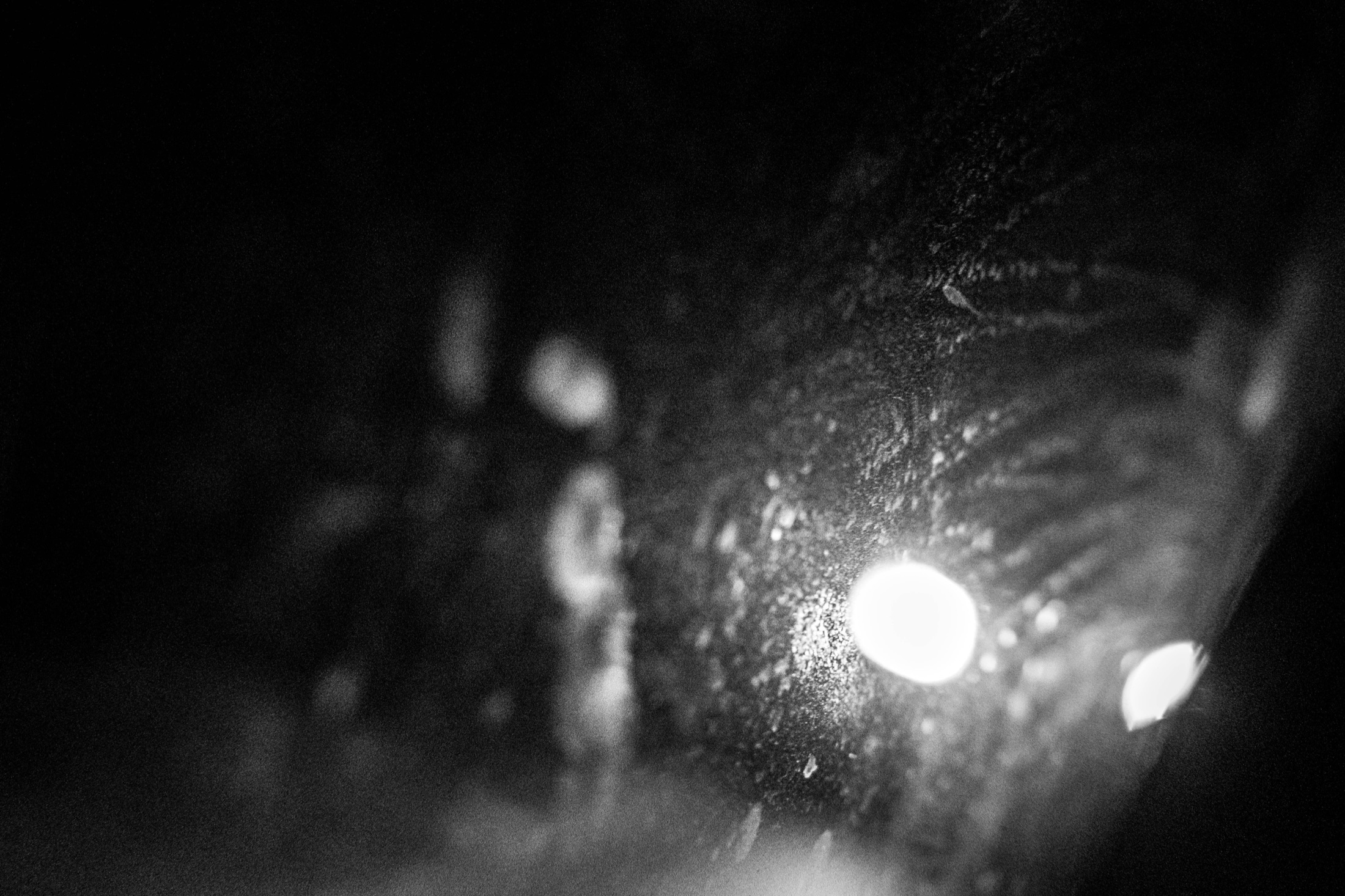 Night Walks and Artificial Light