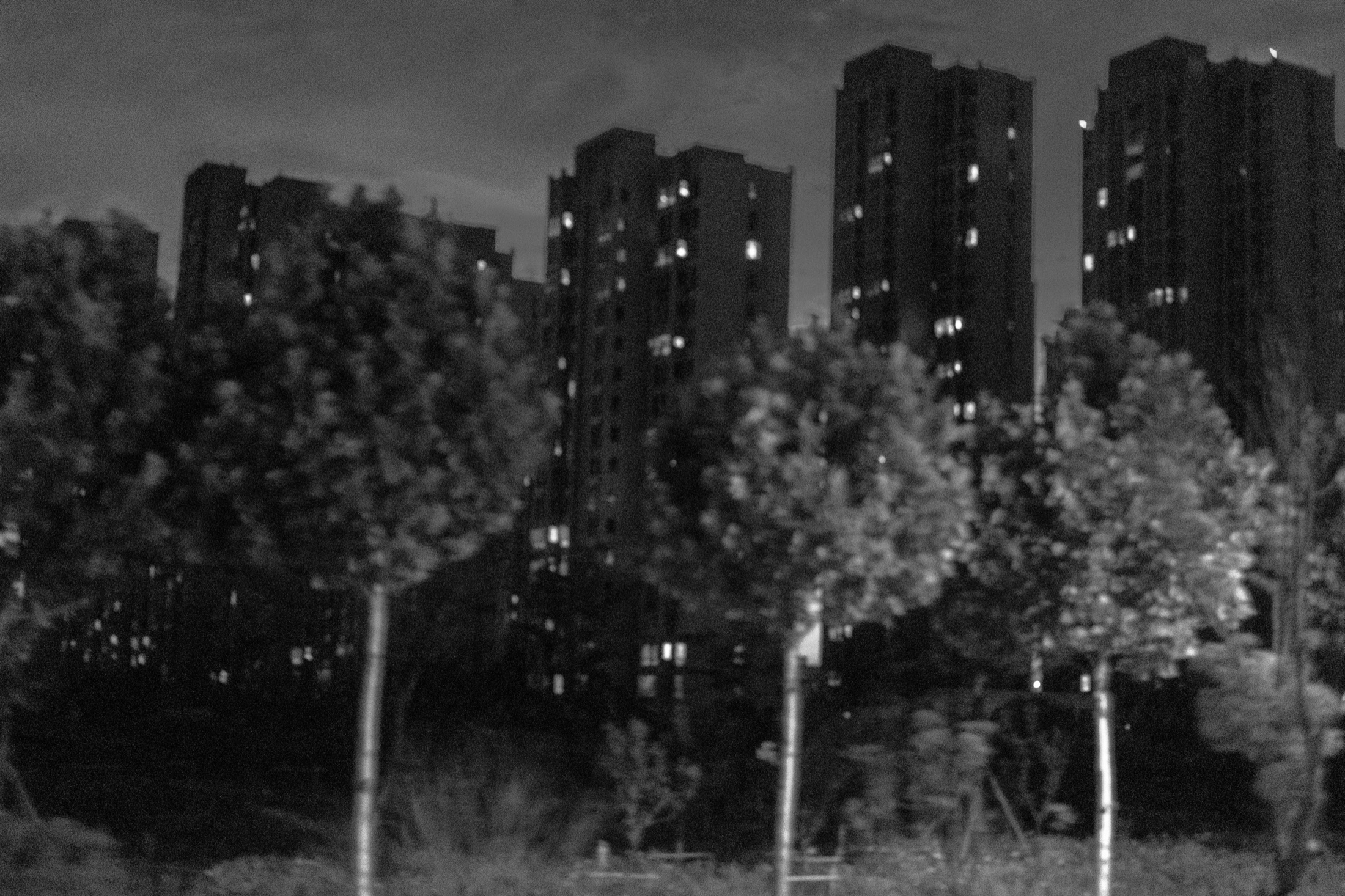 Night Walks and Artificial Light