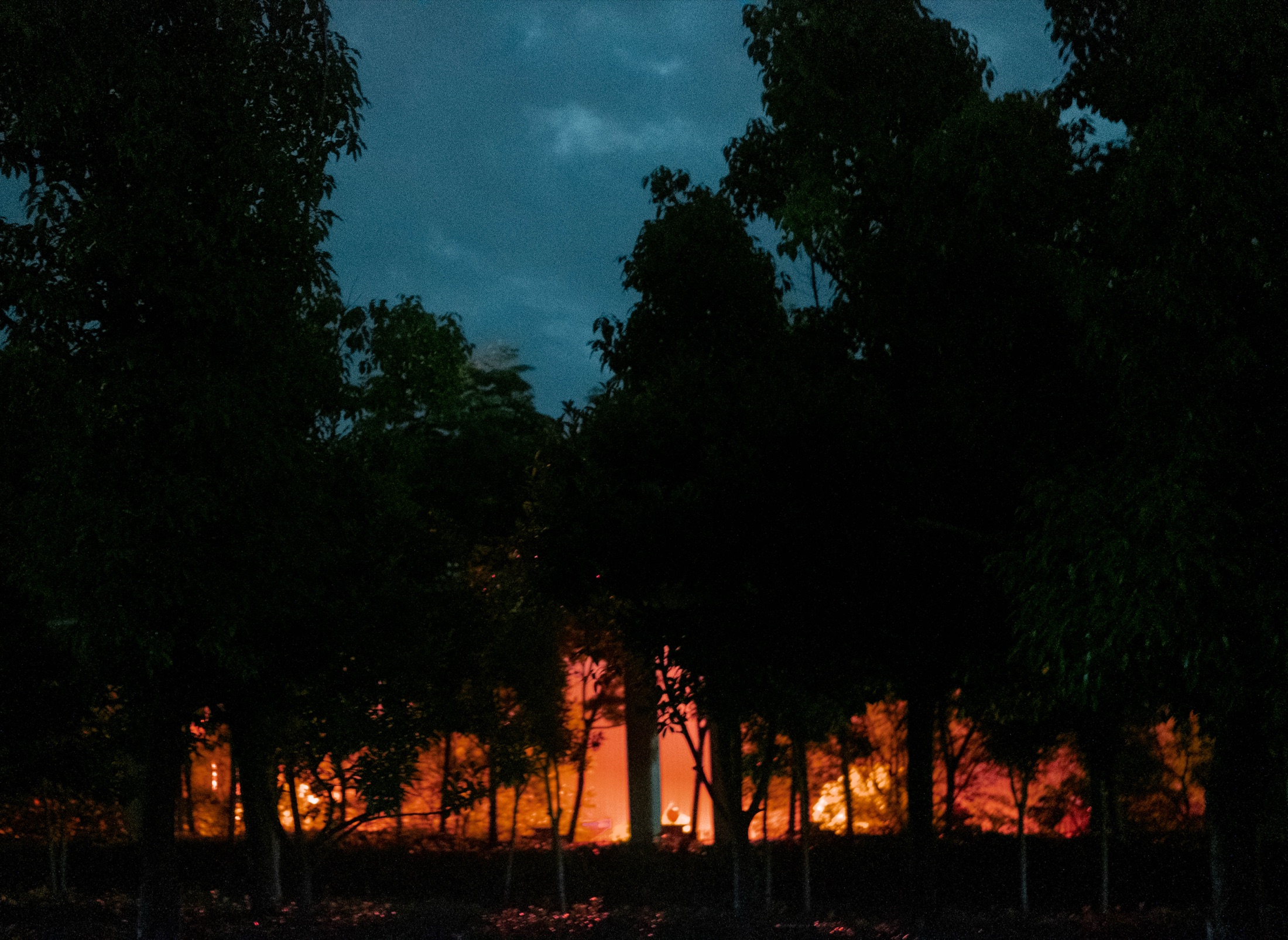 Night Walks and Artificial Light