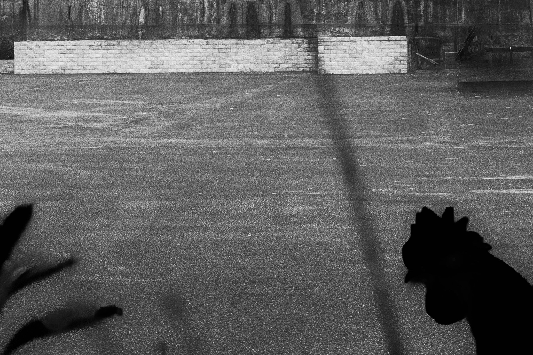 Street Objects and Signs