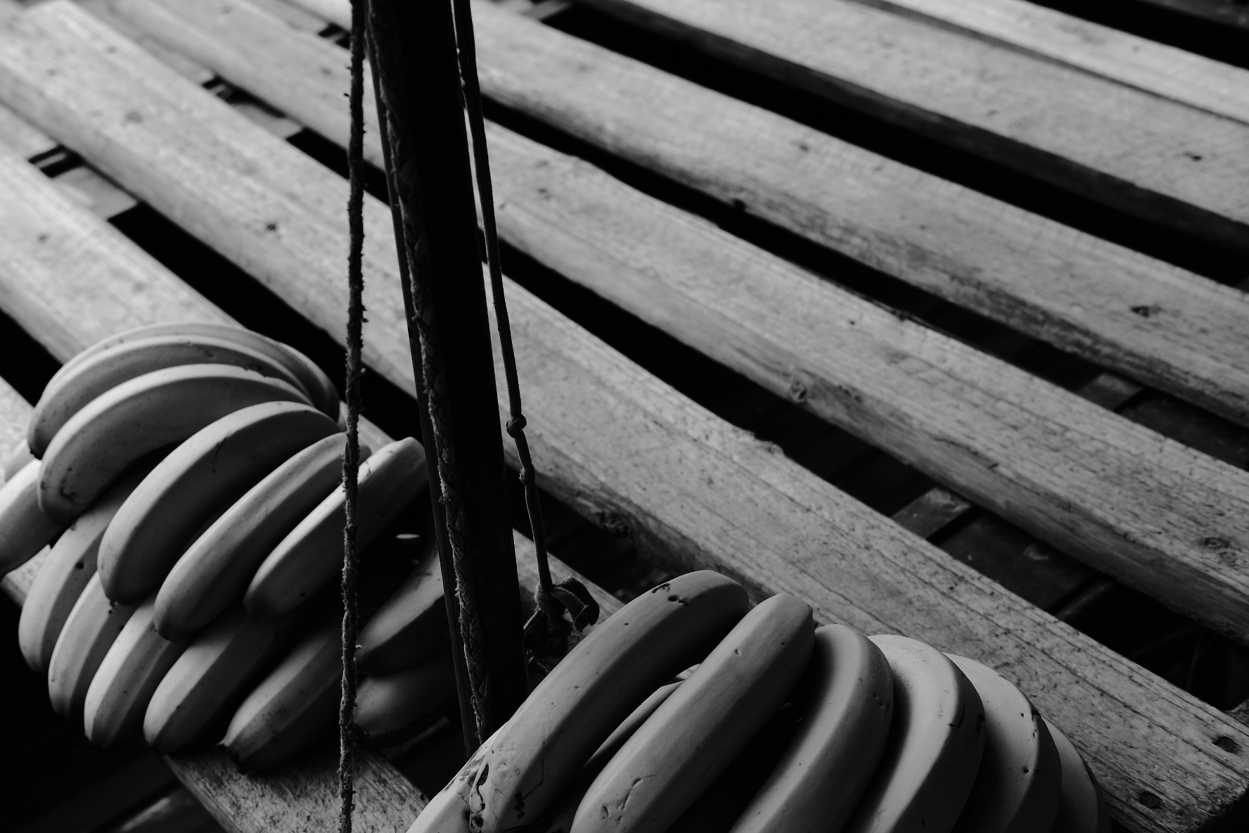 Street Objects and Signs