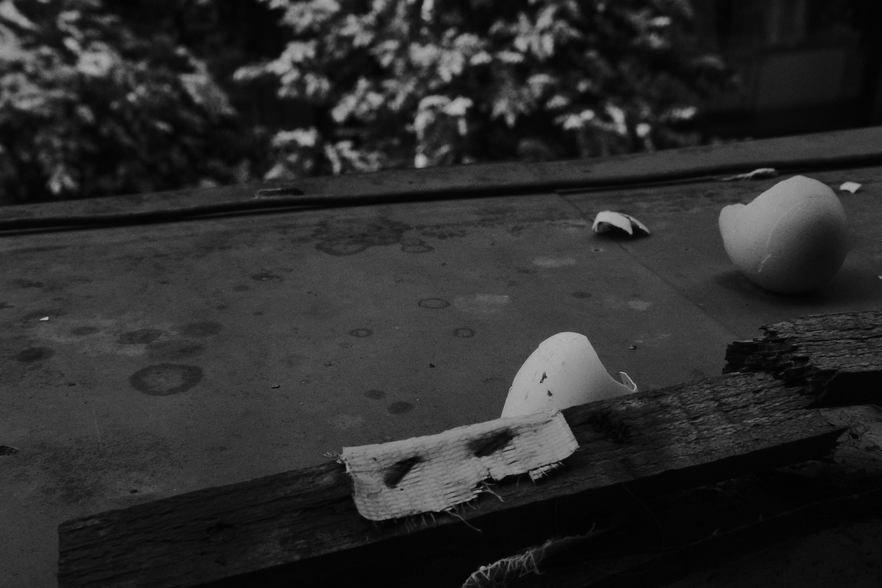 Street Objects and Signs