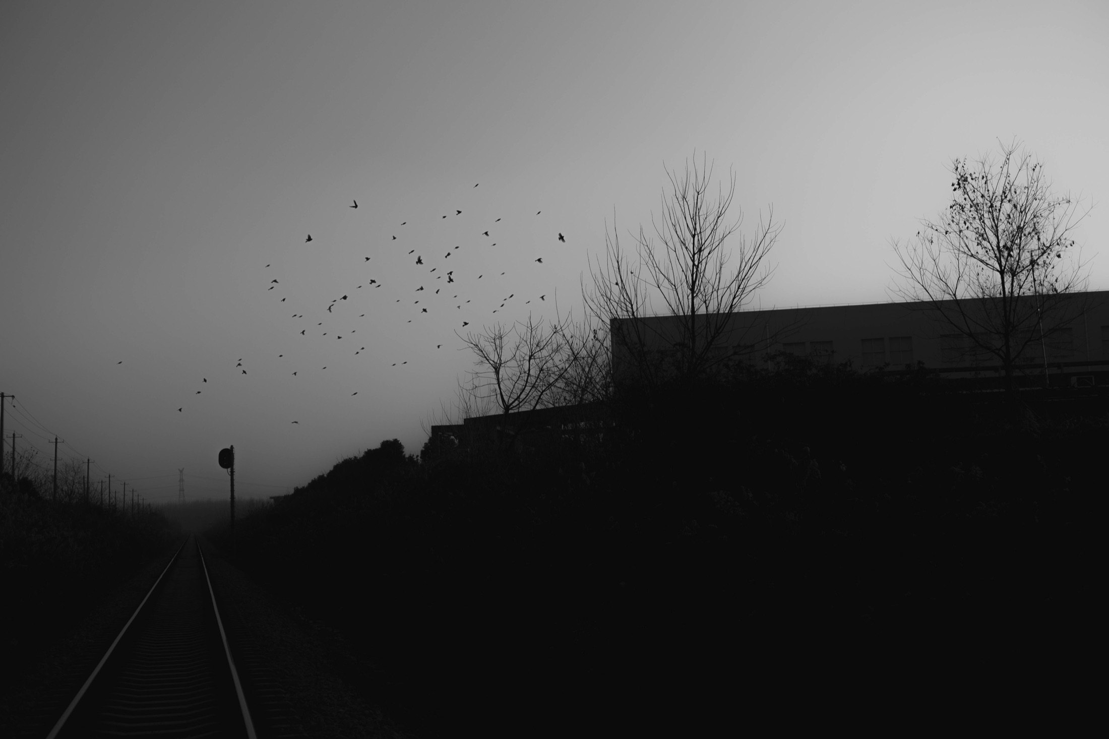 Urban Edges