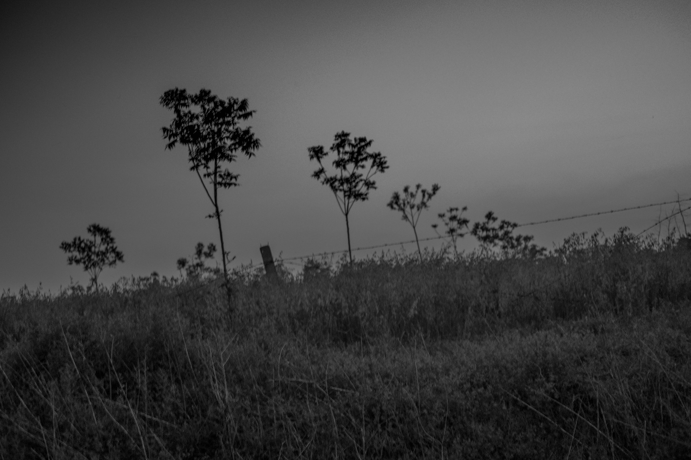 Urban Edges