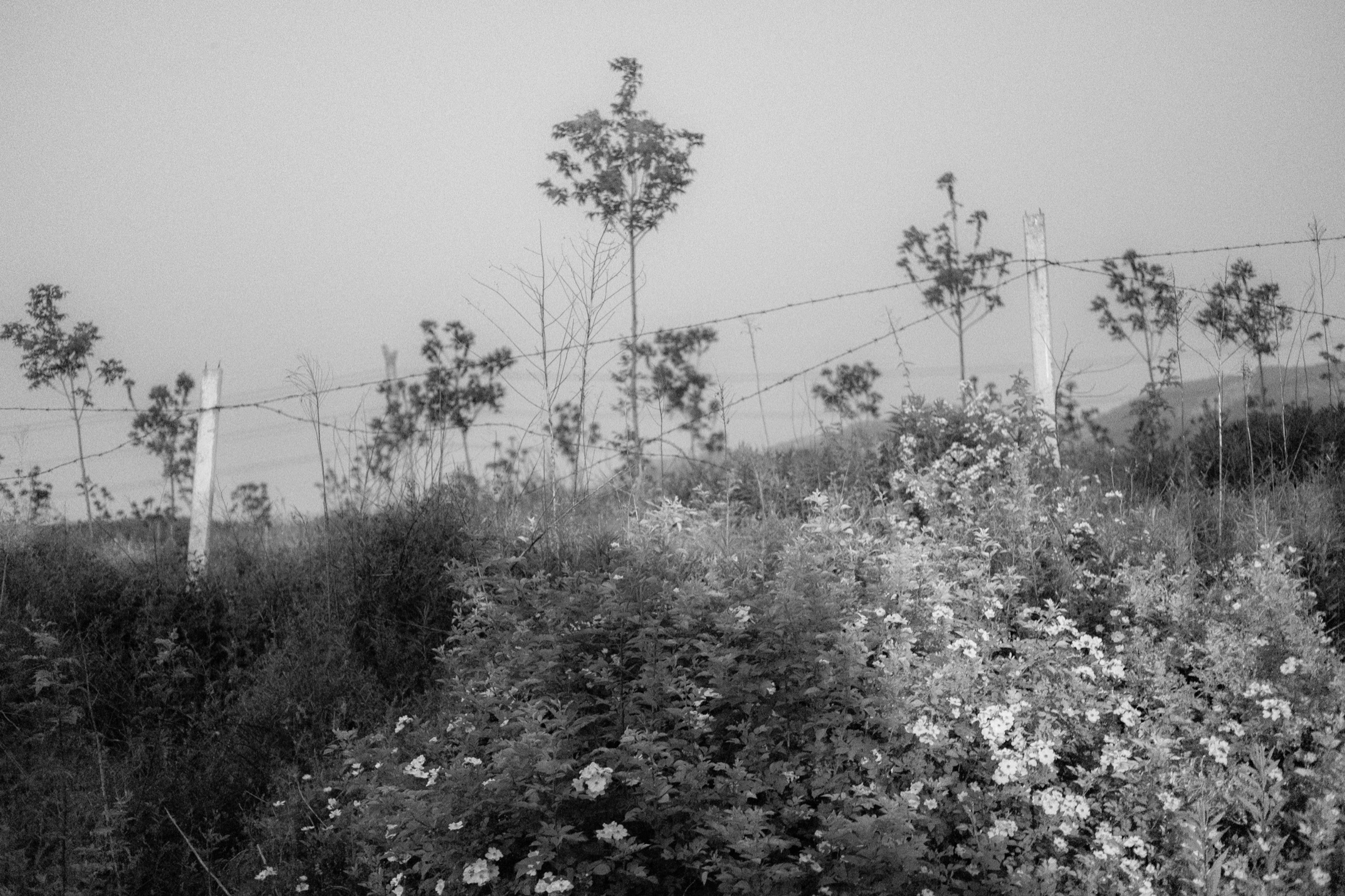 Urban Edges
