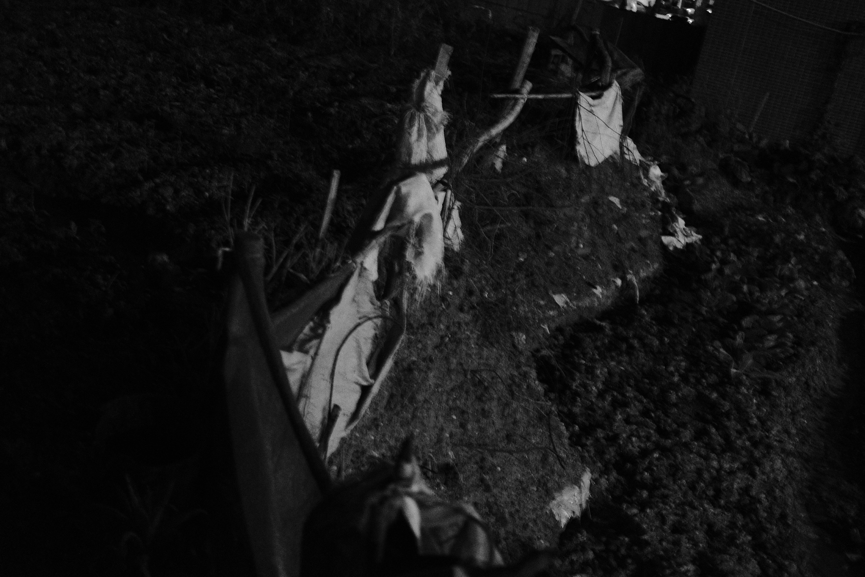 Wasteground and Remains