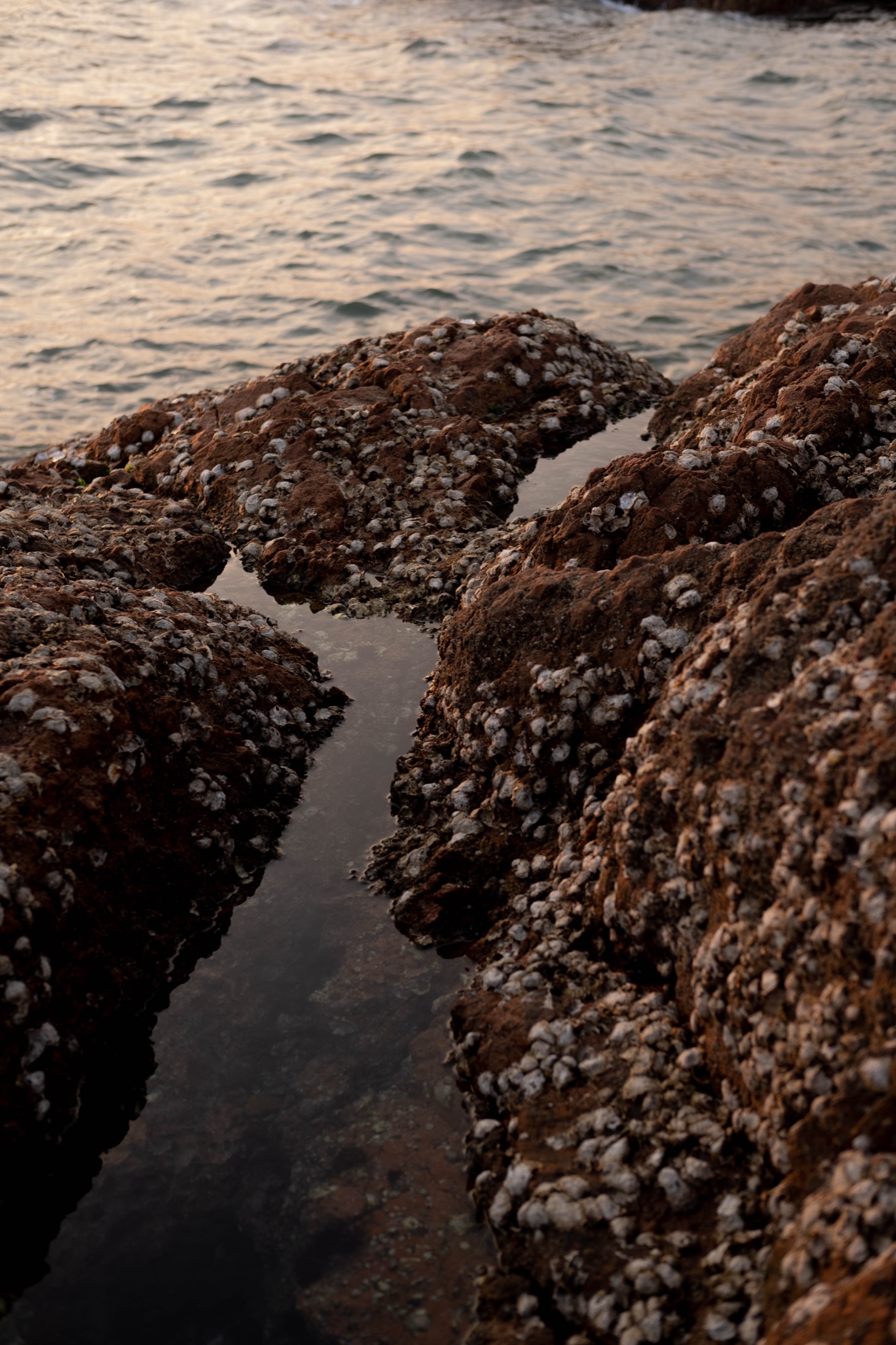 Water, Coast and Weather
