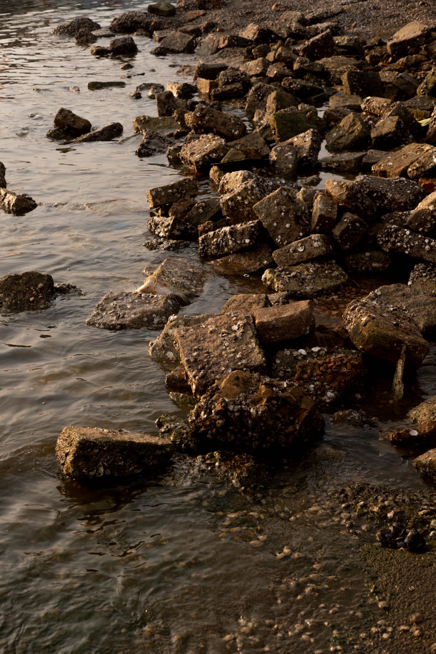 Water, Coast and Weather