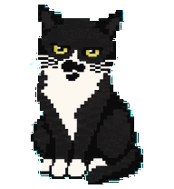 黑白小猫正在休息